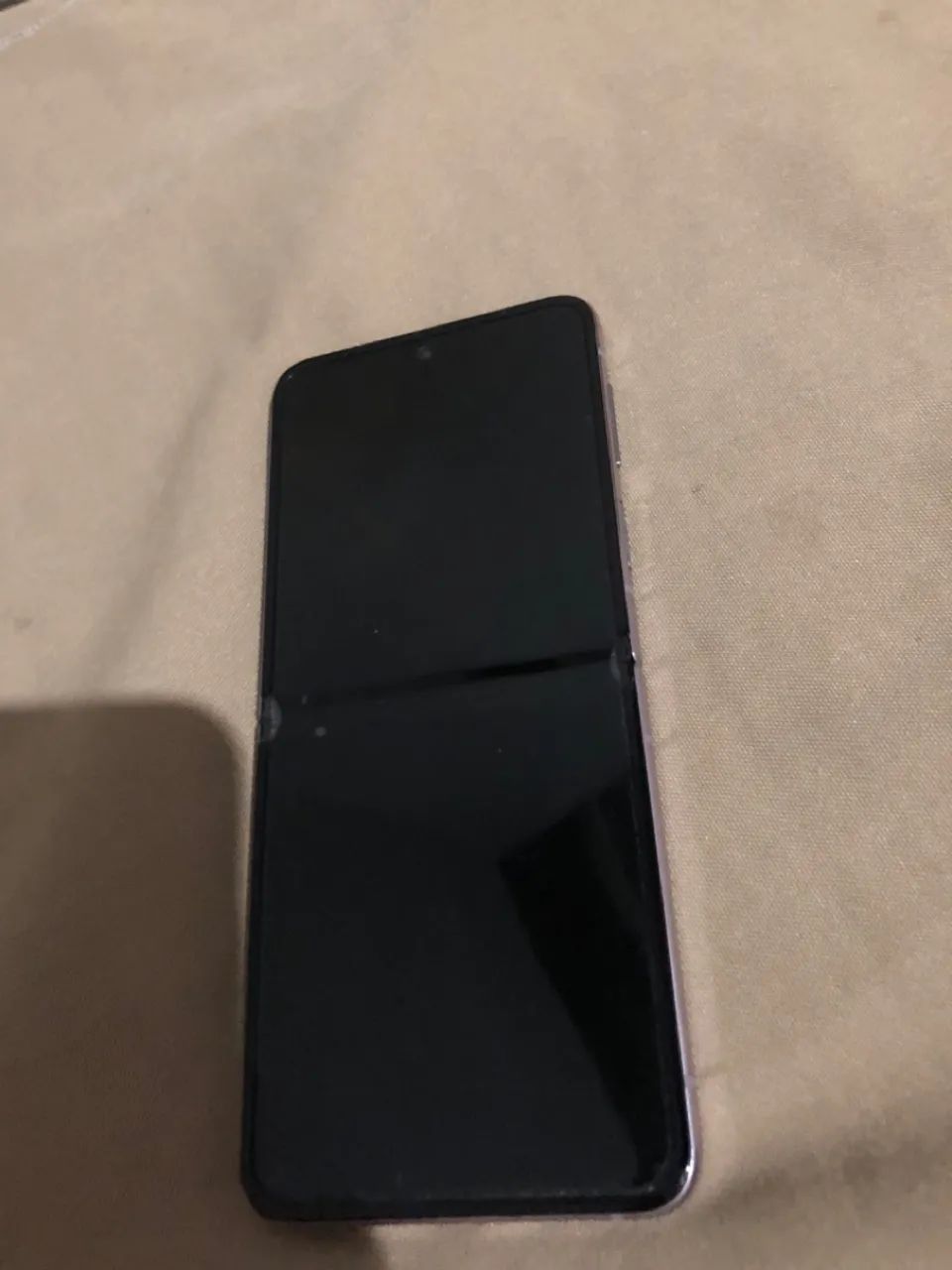 Z flip 4 leia 