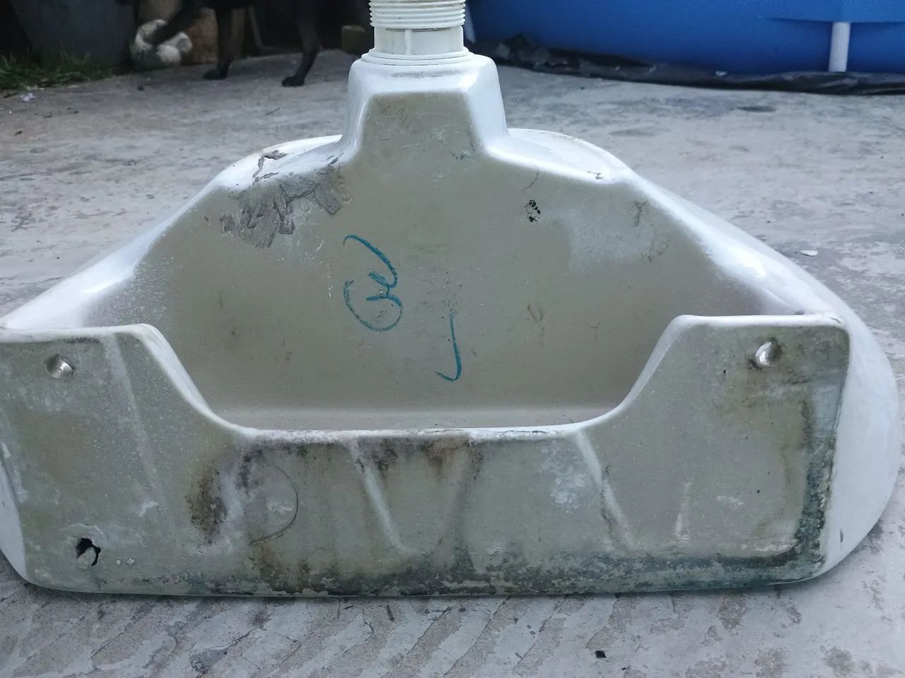Pia - Foto 5
