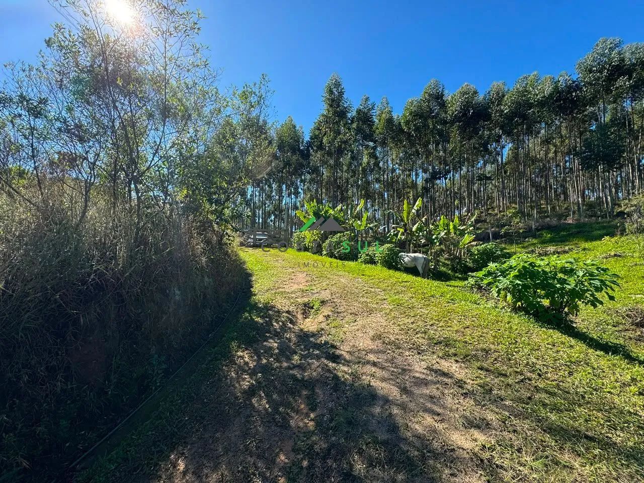 Sítio de 5,5 Hectares com Certificação Orgânica em Andamento - Foto 3