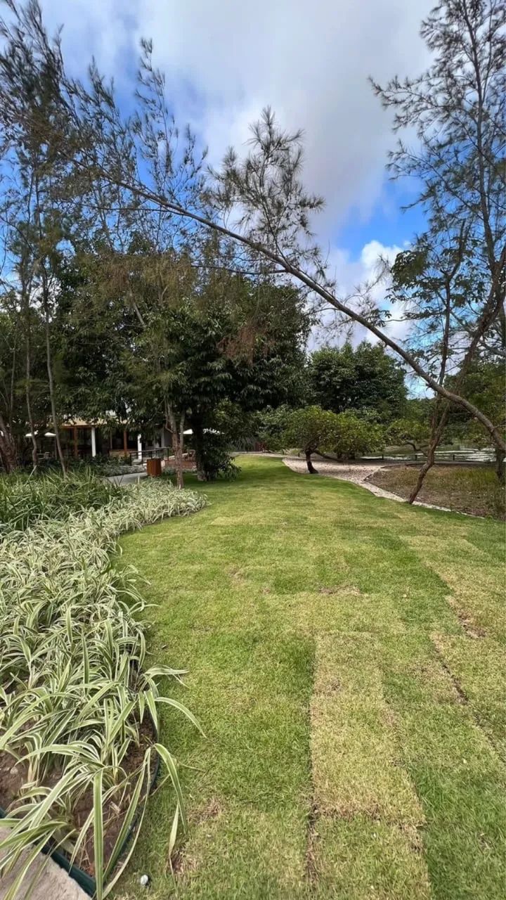 Vendo 2 lotes no condomínio Botânico Terra Brasilis  - Foto 5