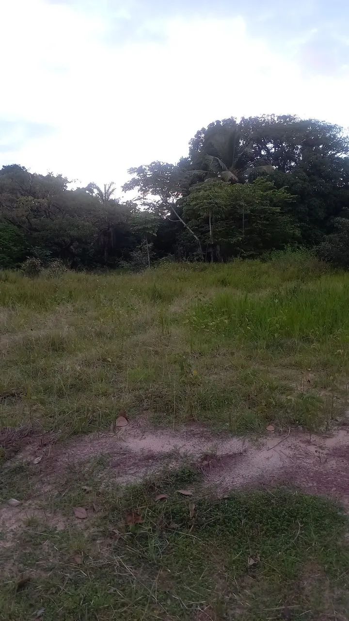 Vende-se sitio próximo a cidade de Salinopolis PA - Foto 2