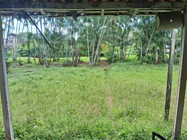 VENDO SÍTIO EM MARITUBA 290 MIL  - Foto 5