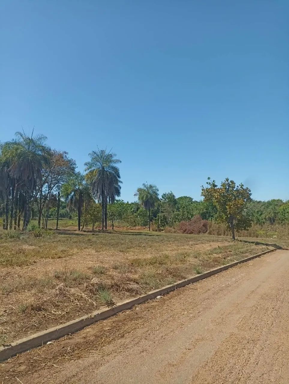 TERRENO QUITADO A VENDA JD MILLAO - LUZIMANGUES - Foto 2