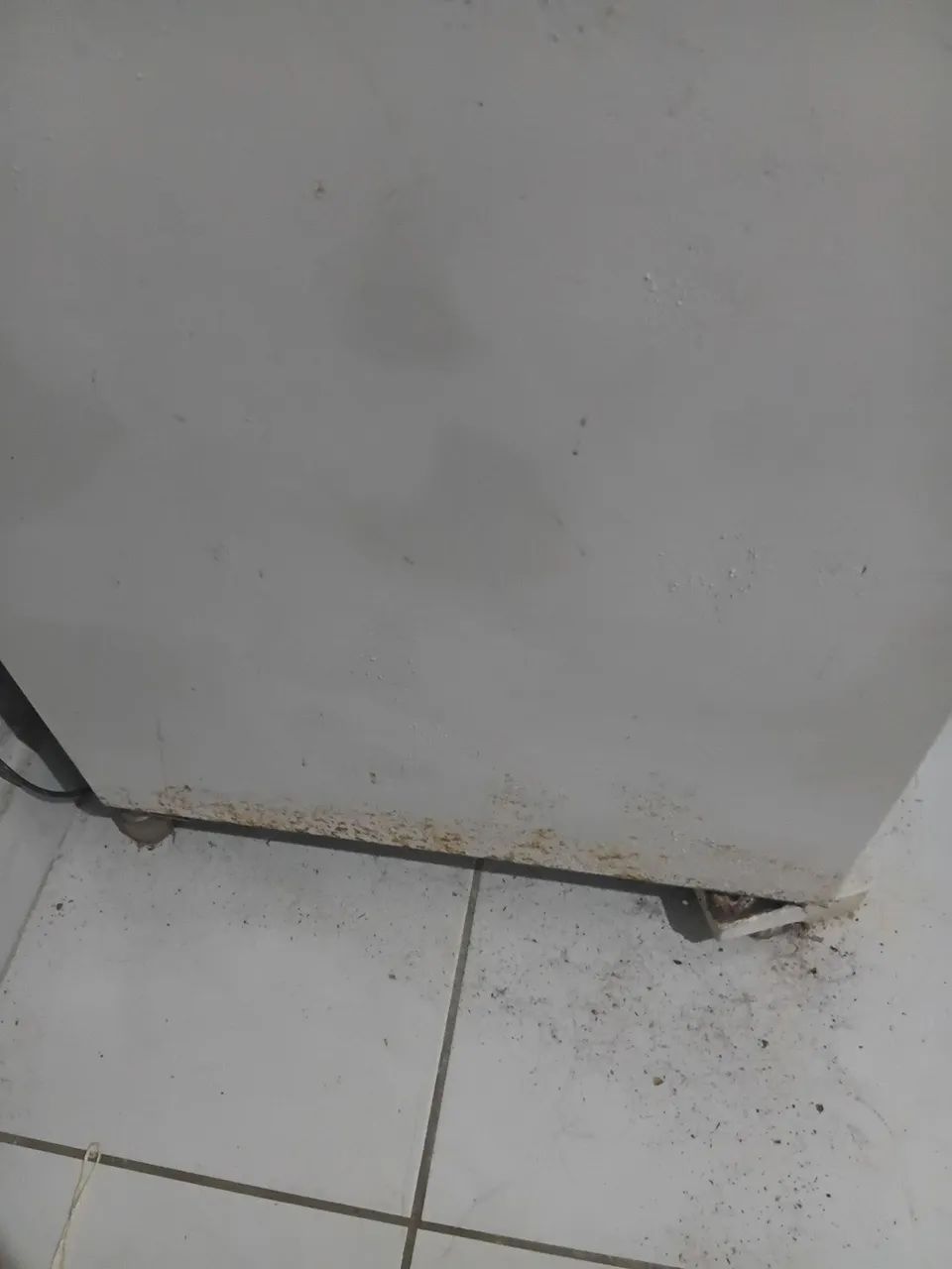 Geladeira Electrolux  - Foto 4