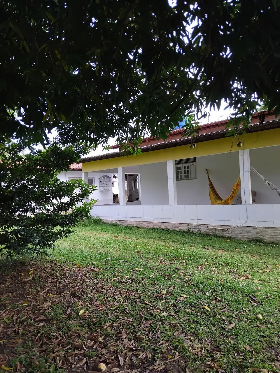 Vendo uma linda Chácara super Barato  - Foto 2