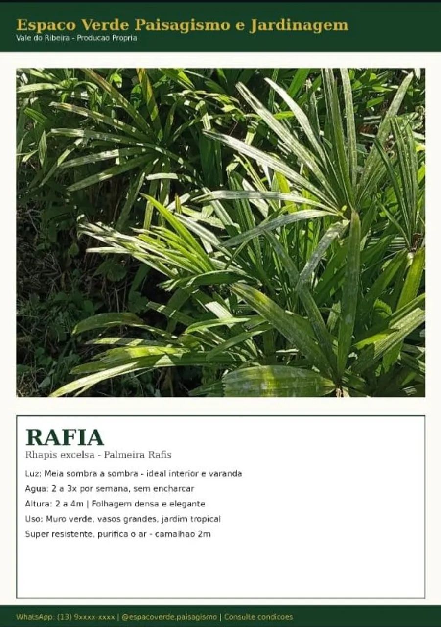Jardineiro e jardinagem  - Foto 4
