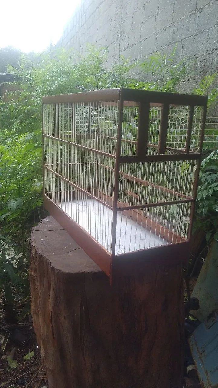 Gaiolas - Foto 3