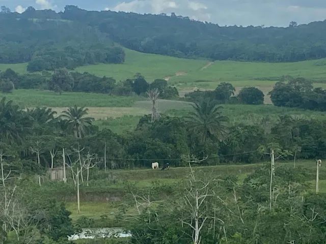 Excelente Sítio com 30 hectares, em Mamanguape,  multa água, rio perene - Foto 2