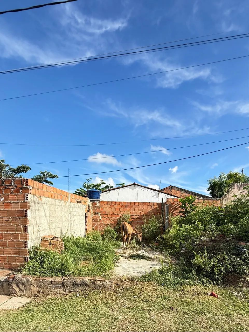 Terreno No Luís Alves ( Sao Cristóvão) 