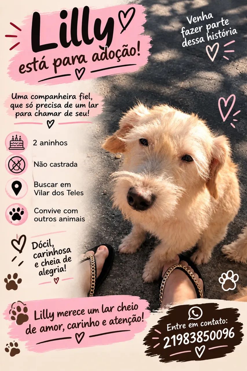 Doação 