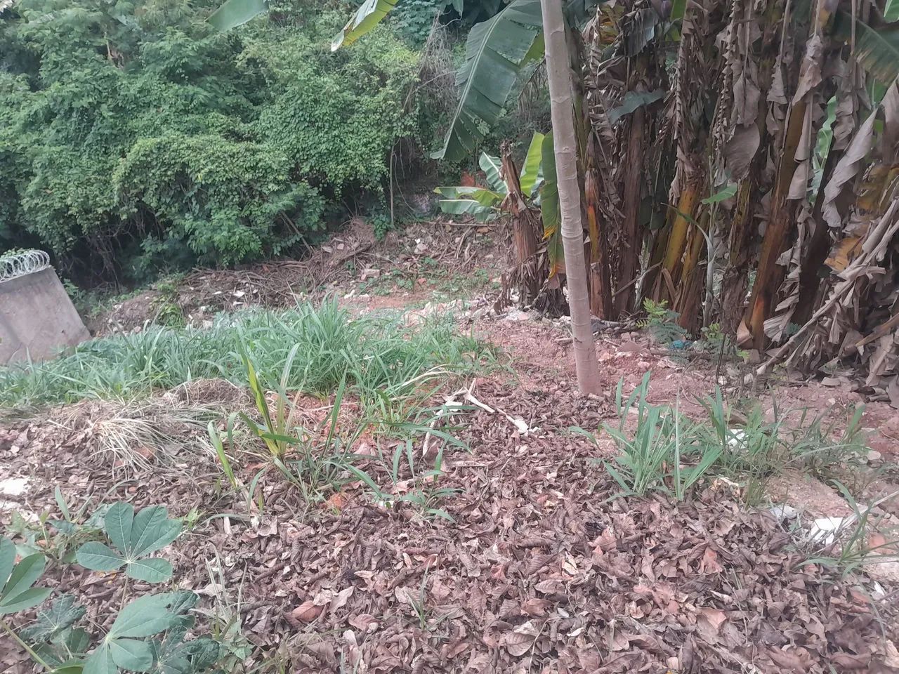 Vendas - Foto 2