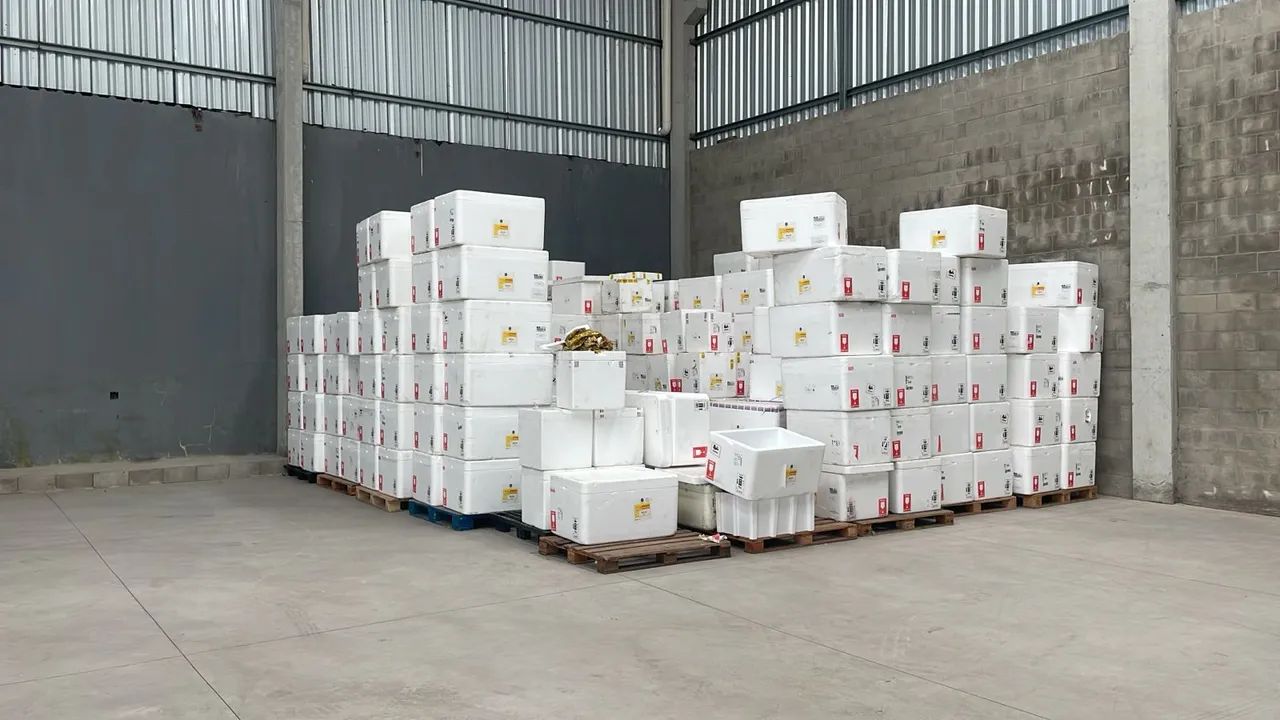 CAIXA DE ISOPOR 120 LITROS