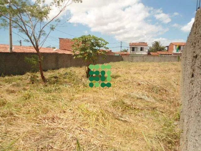 Terreno para aluguel, Passaré - Fortaleza/CE - Foto 5