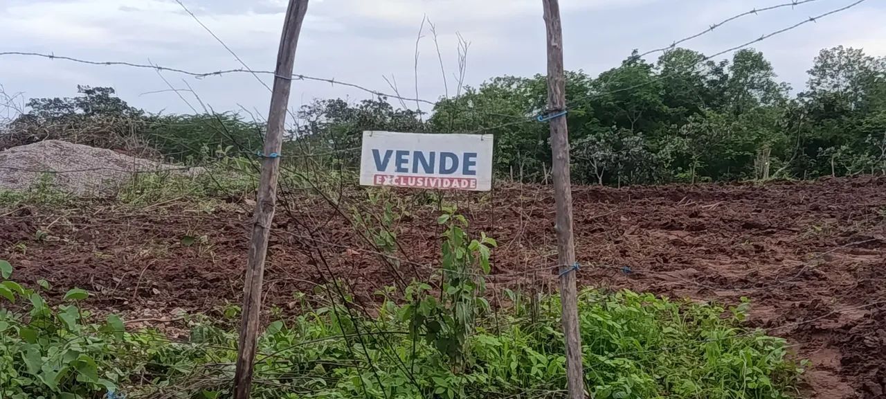 Terreno  - Foto 3