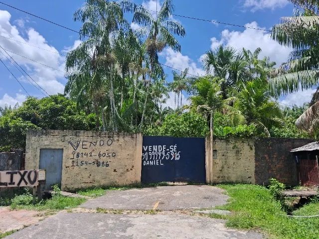 VENDO SÍTIO EM MARITUBA 290 MIL  - Foto 3