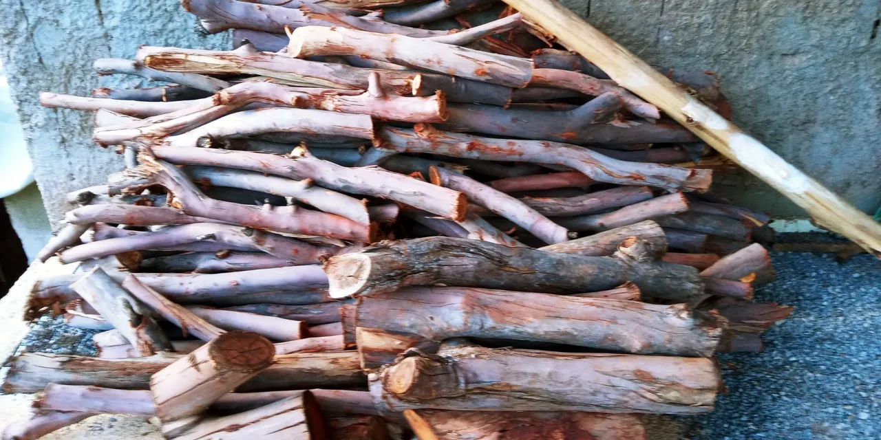 Eucalipto  para forno a lenha