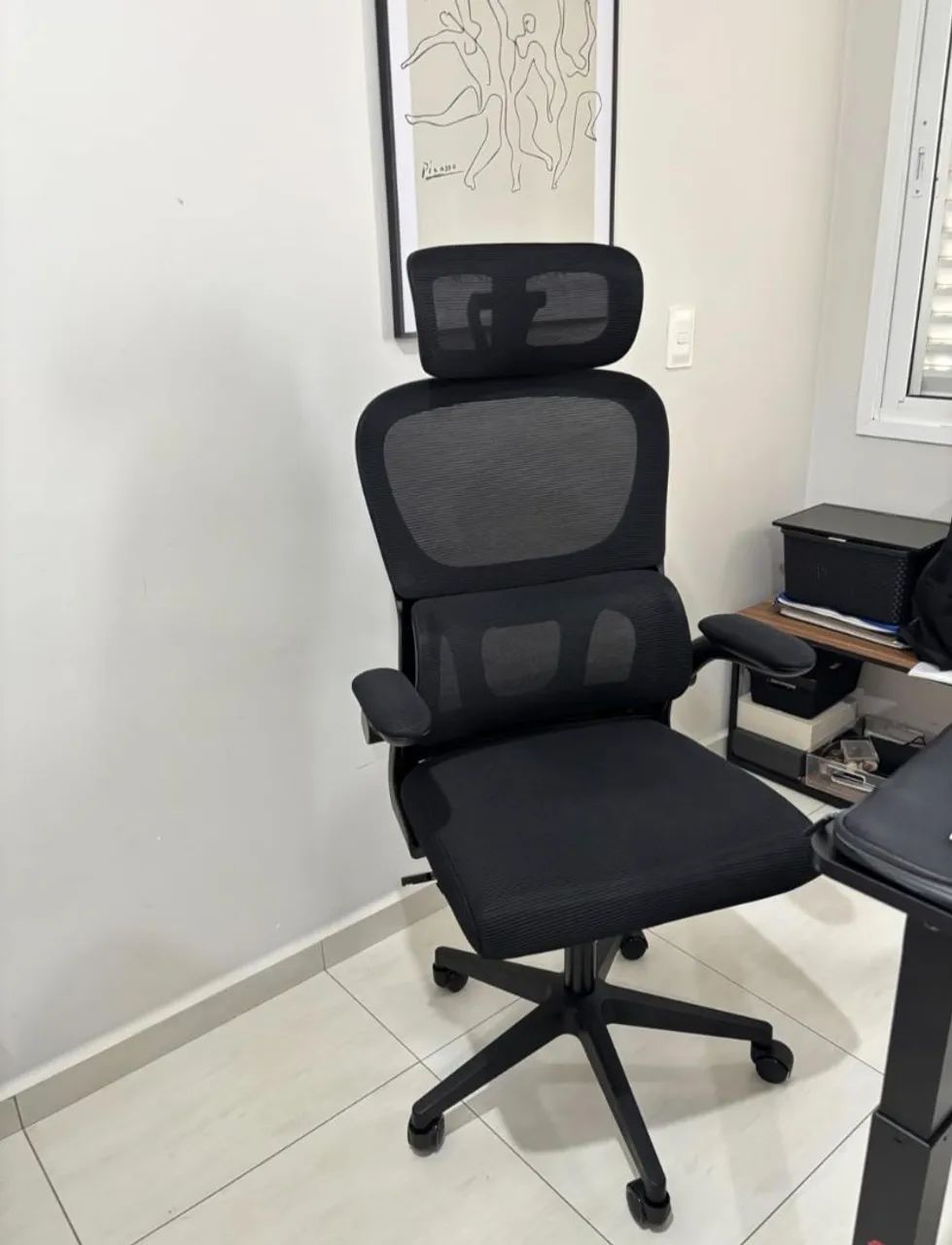 Luvinco B500 Ergonomic Chair