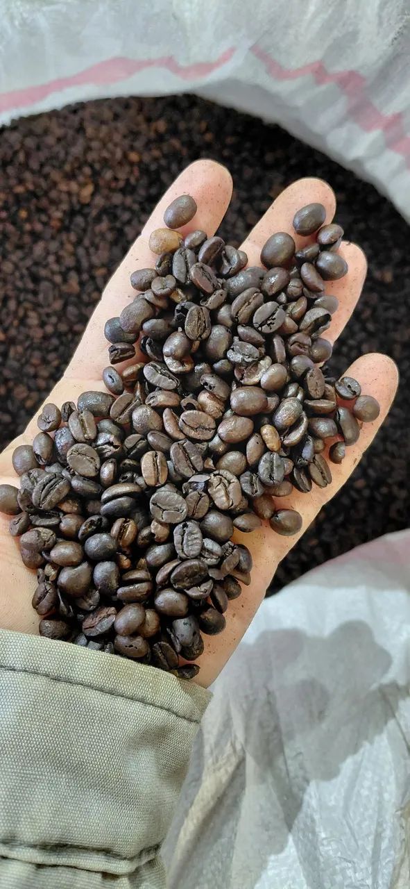 Cafe torrado em graos ou moido revenda