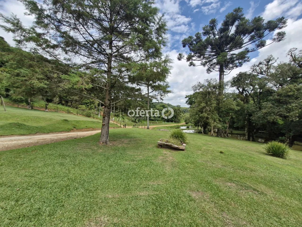 Chácara em Contenda / São Pedro - Foto 4