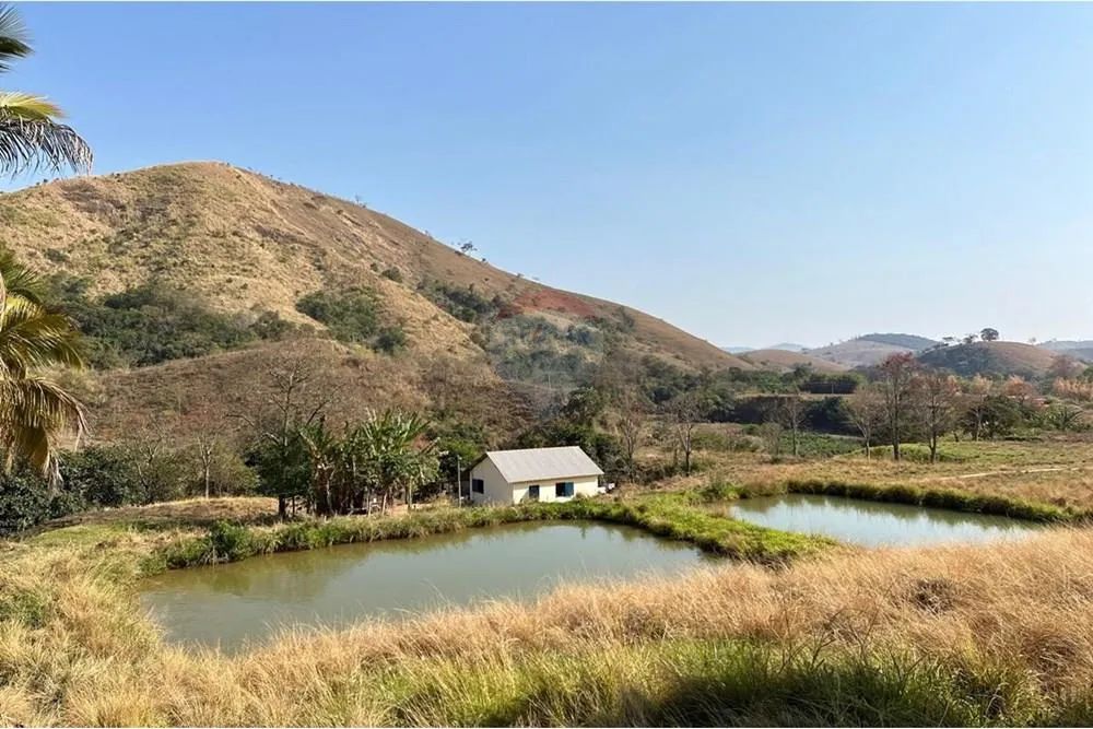 Fazenda a venda em Argirita, MG