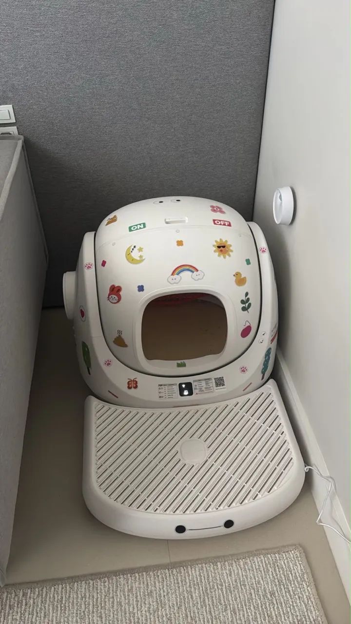 caixa automática para gatos 