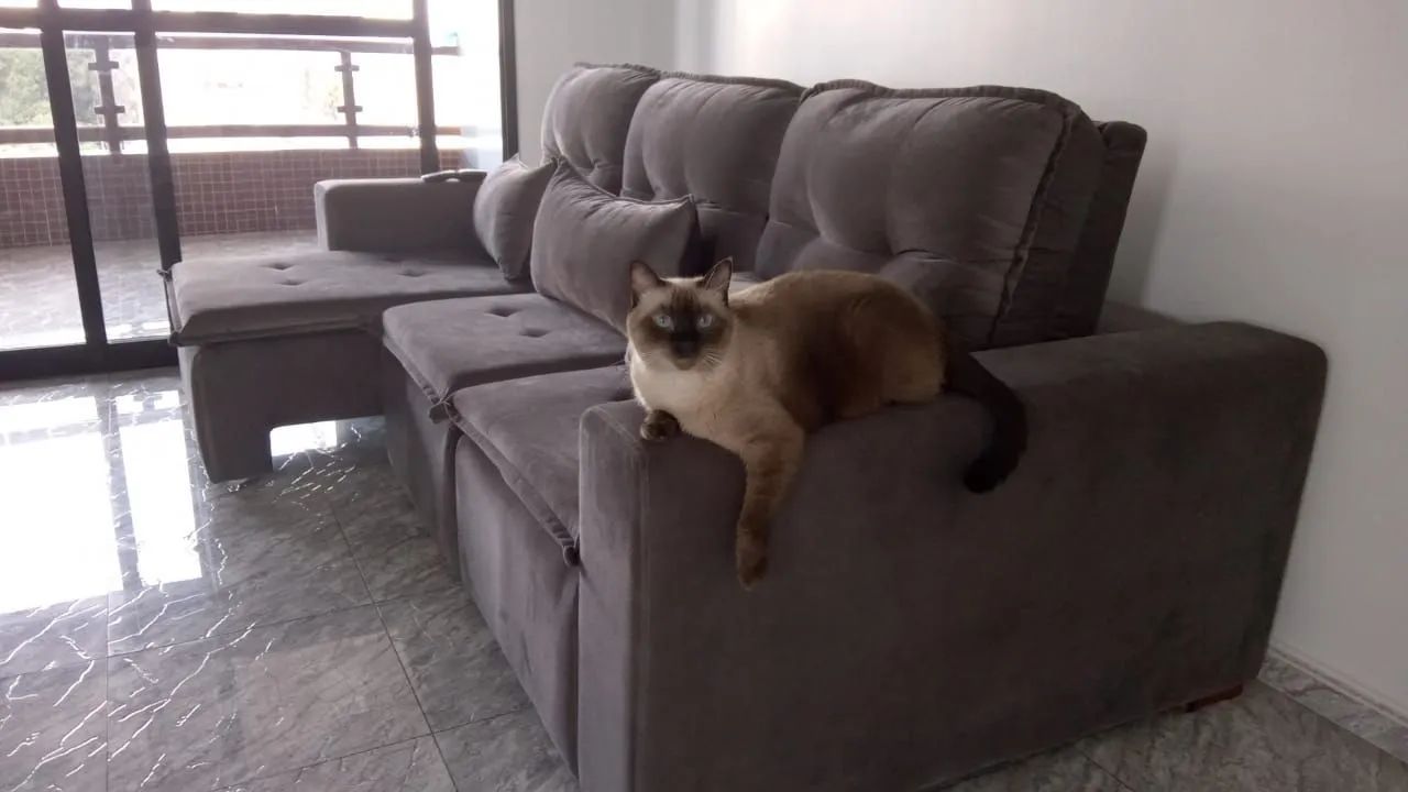 Sofá Retrátil Cinza - Foto 5