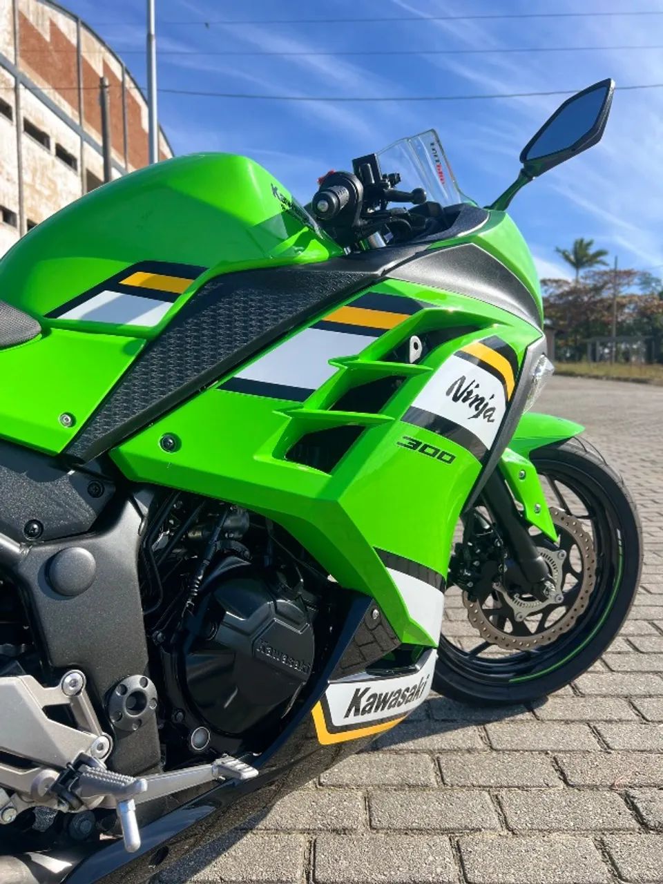 Kawasaki Ninja 300  - Foto 4