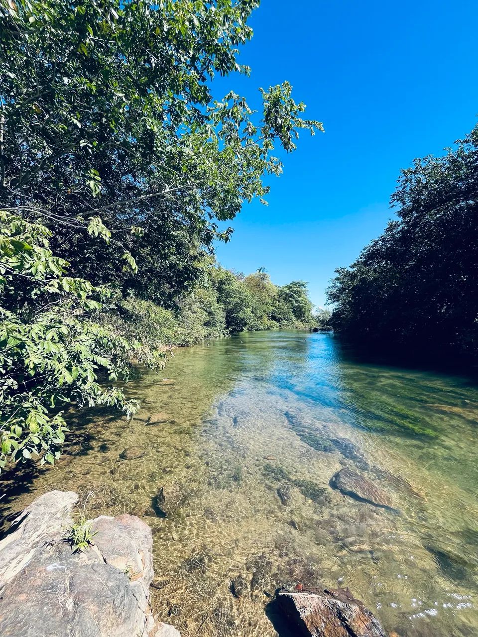 VENDO RANCHO ÁS MARGENS DO RIO TOCANTINS -PRÓXIMO AO POVOADO TREVO DA PRAIA. - Foto 3