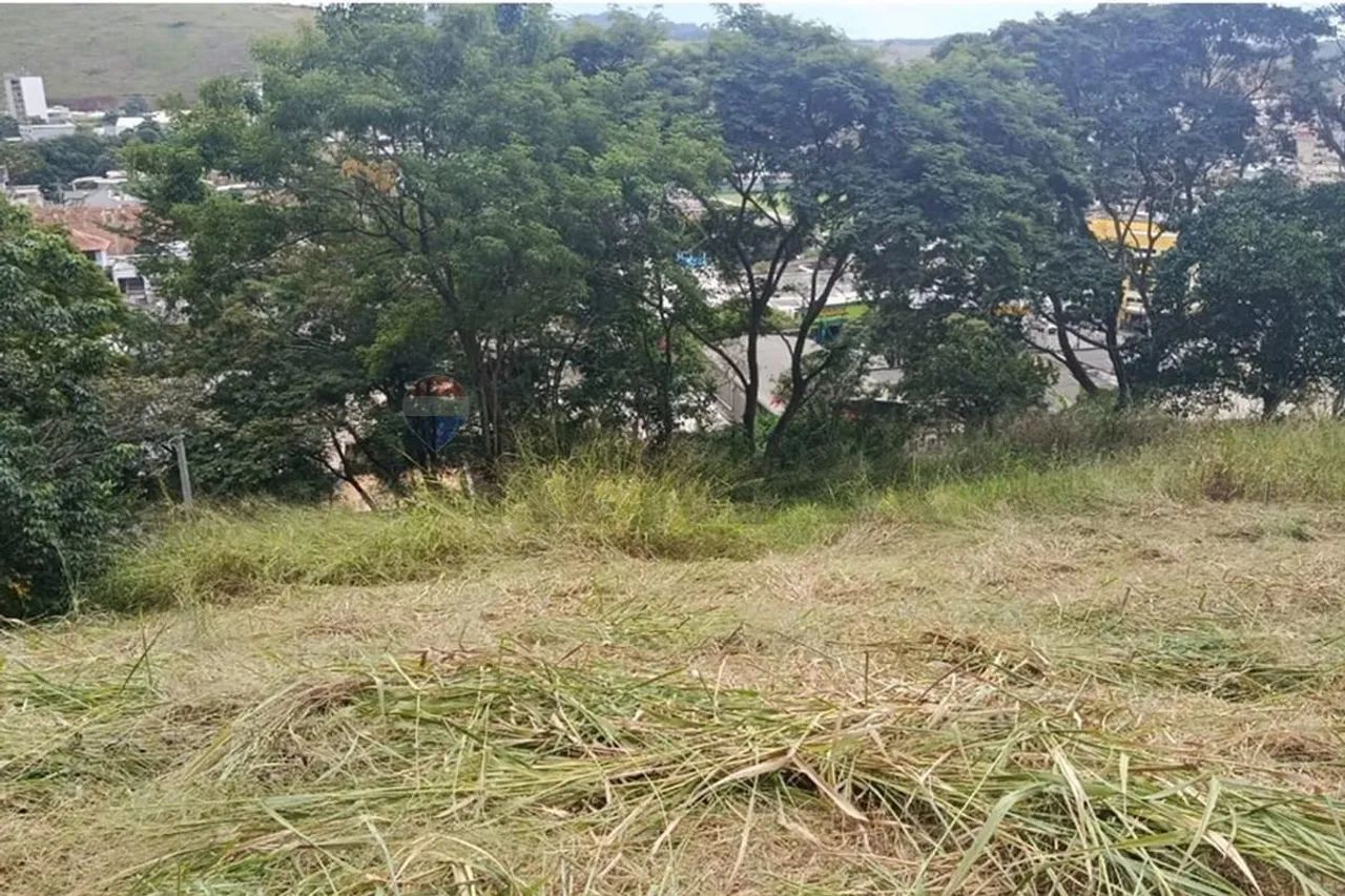 Terreno no Morro do Cristo - Foto 3