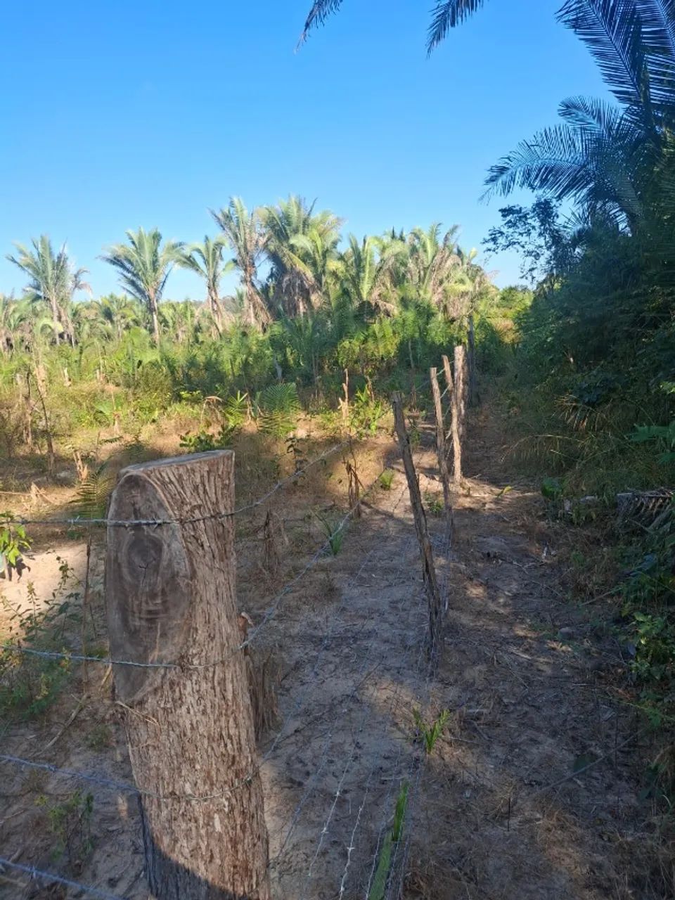 Terreno 20x60 m²  Valor Negociável, aceitamos troca em moto. Pov Campestre Norte. - Foto 2