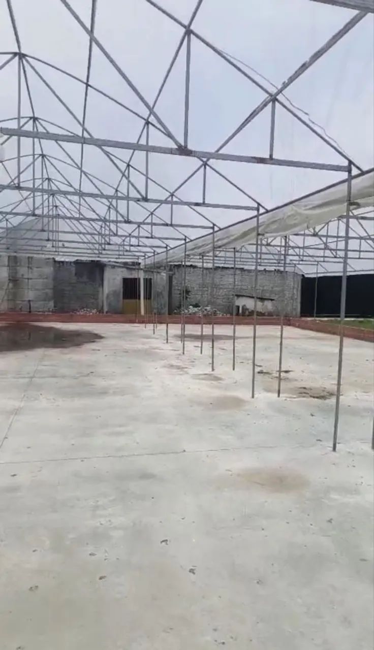 Vendo estrutura/Secador444757378189250563