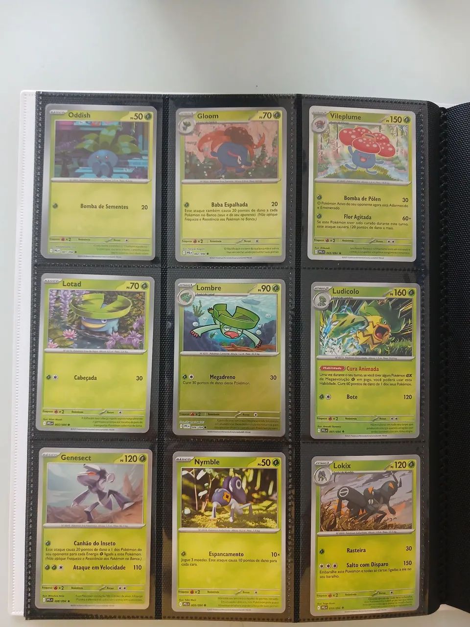 Cartas pokemon 
