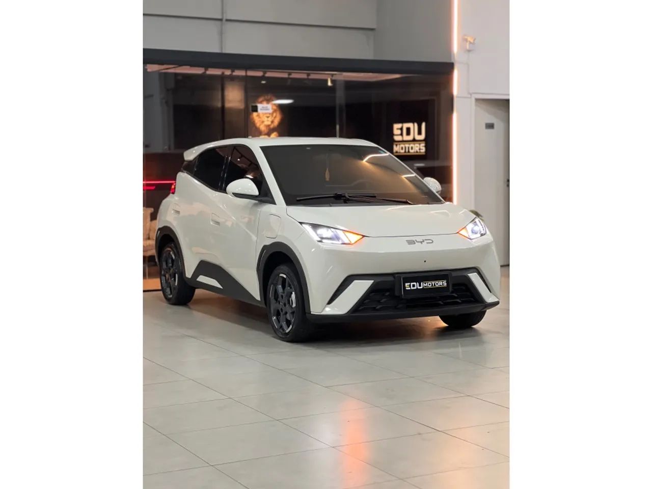 BYD Dolphin Mini (Elétrico) 2026 - Foto 4