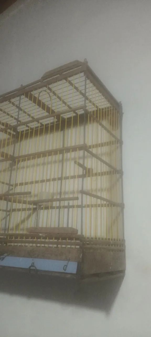 Gaiola - Foto 3