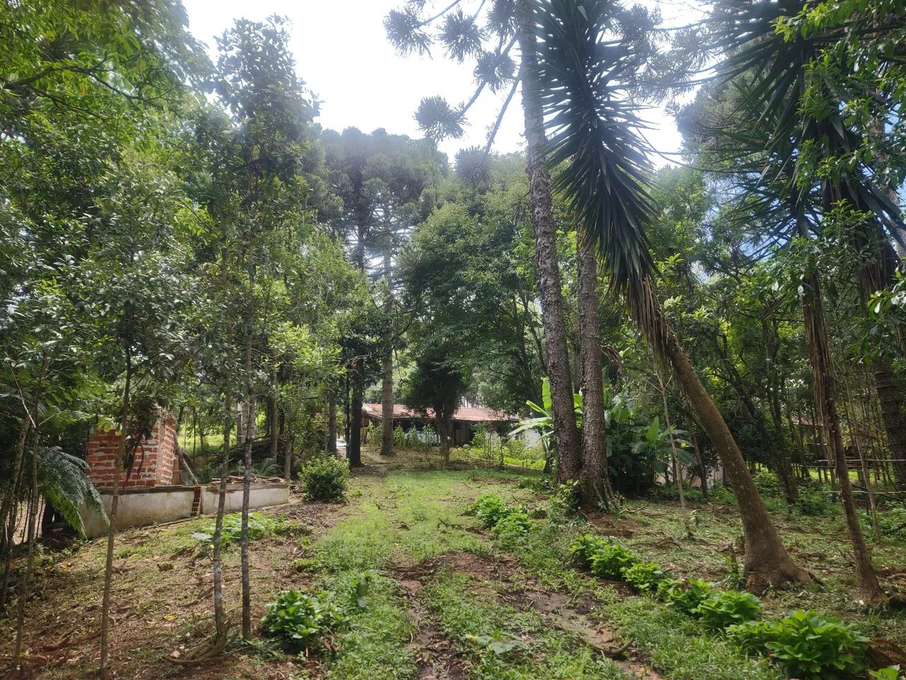 Vende-se ou troca-se - Foto 2
