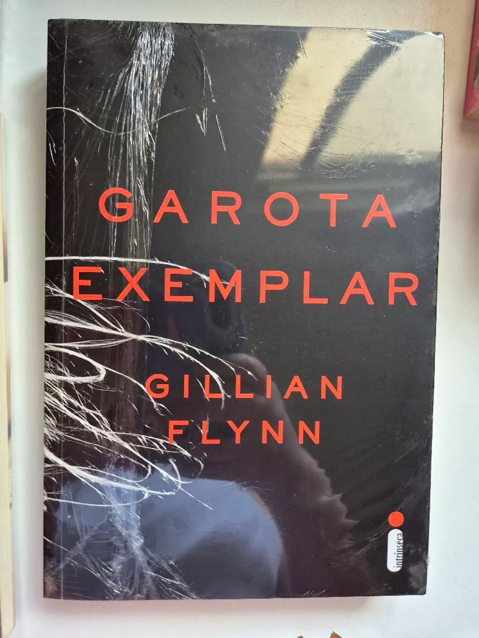 Livro Garota Exemplar