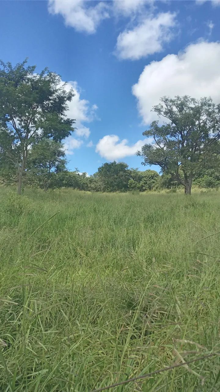 Vendo uma chacara - Foto 4