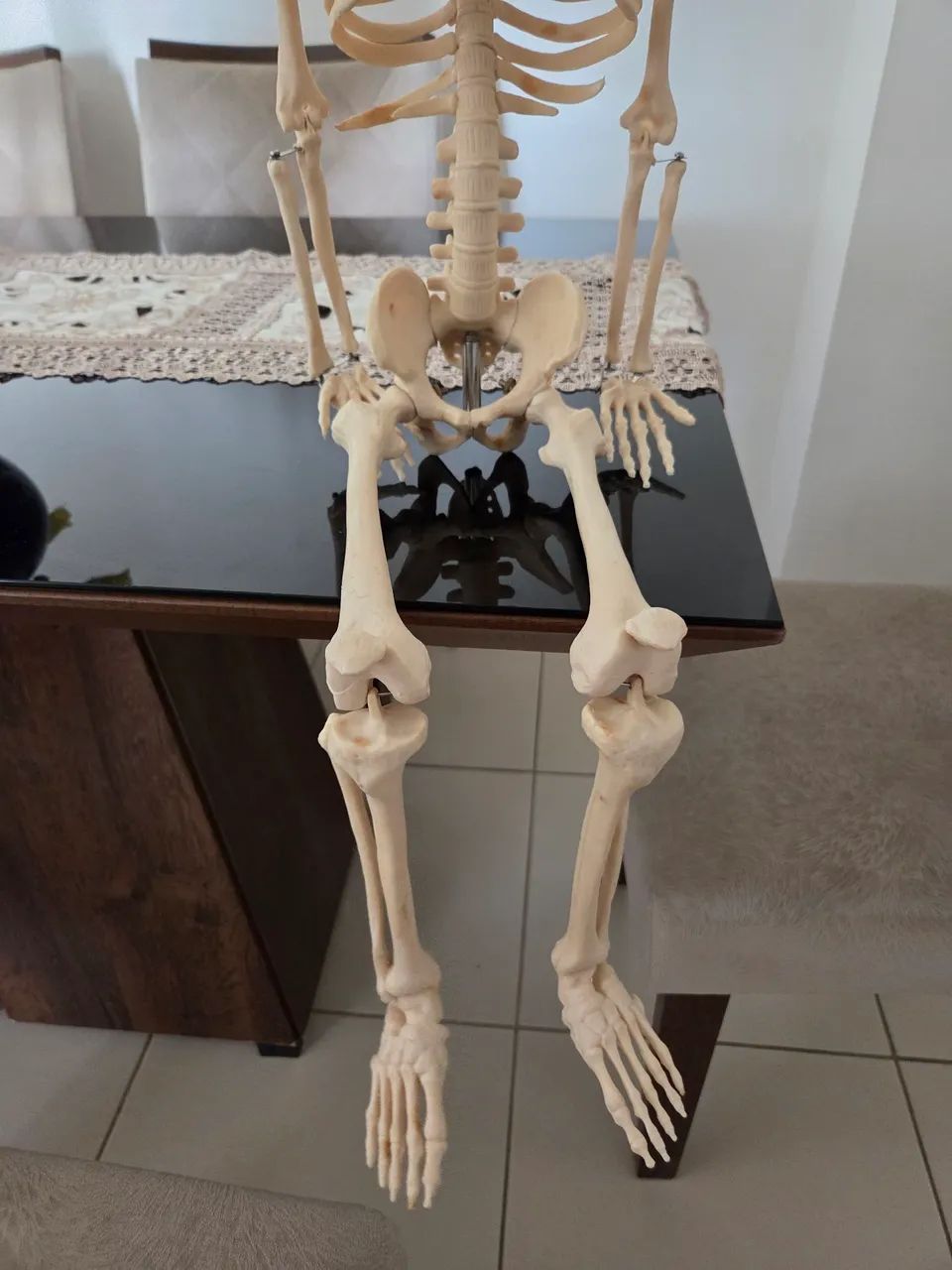 Esqueleto Humano, modelo anatômico tridimensional com 85cm. - Foto 2