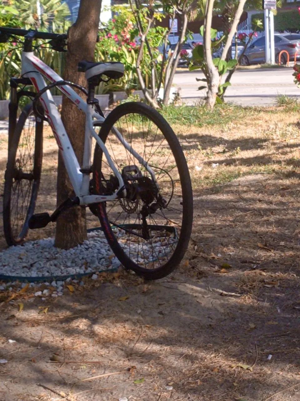 Bike aro 29 