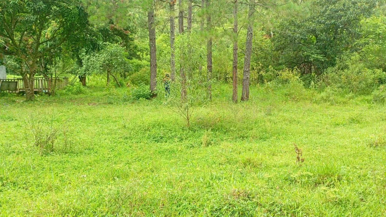 Foto - São Paulo - Vila Gertrudes