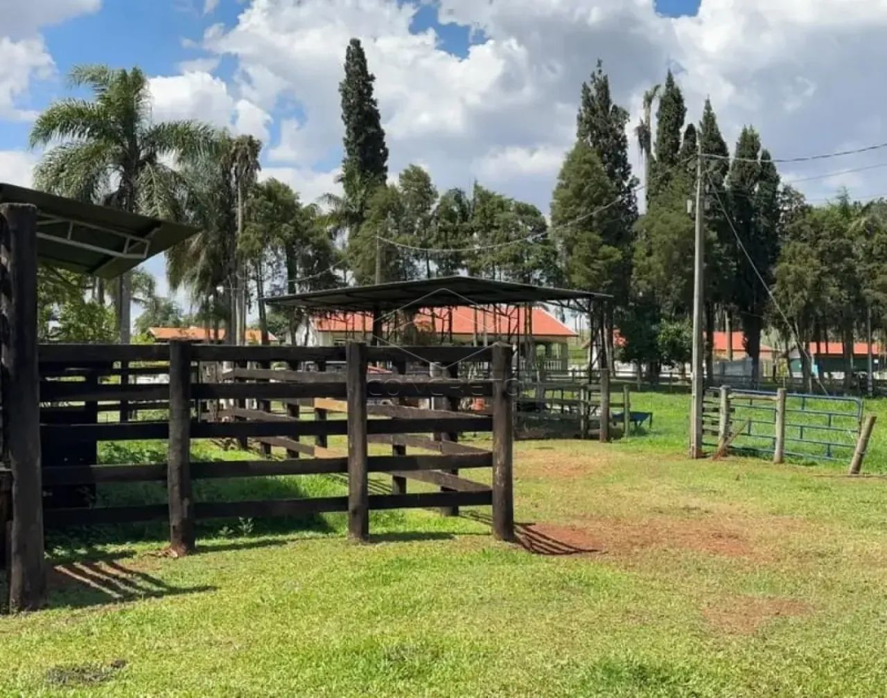 SÍTIO VILA RIBEIRO - MINEIROS/SP - Foto 5