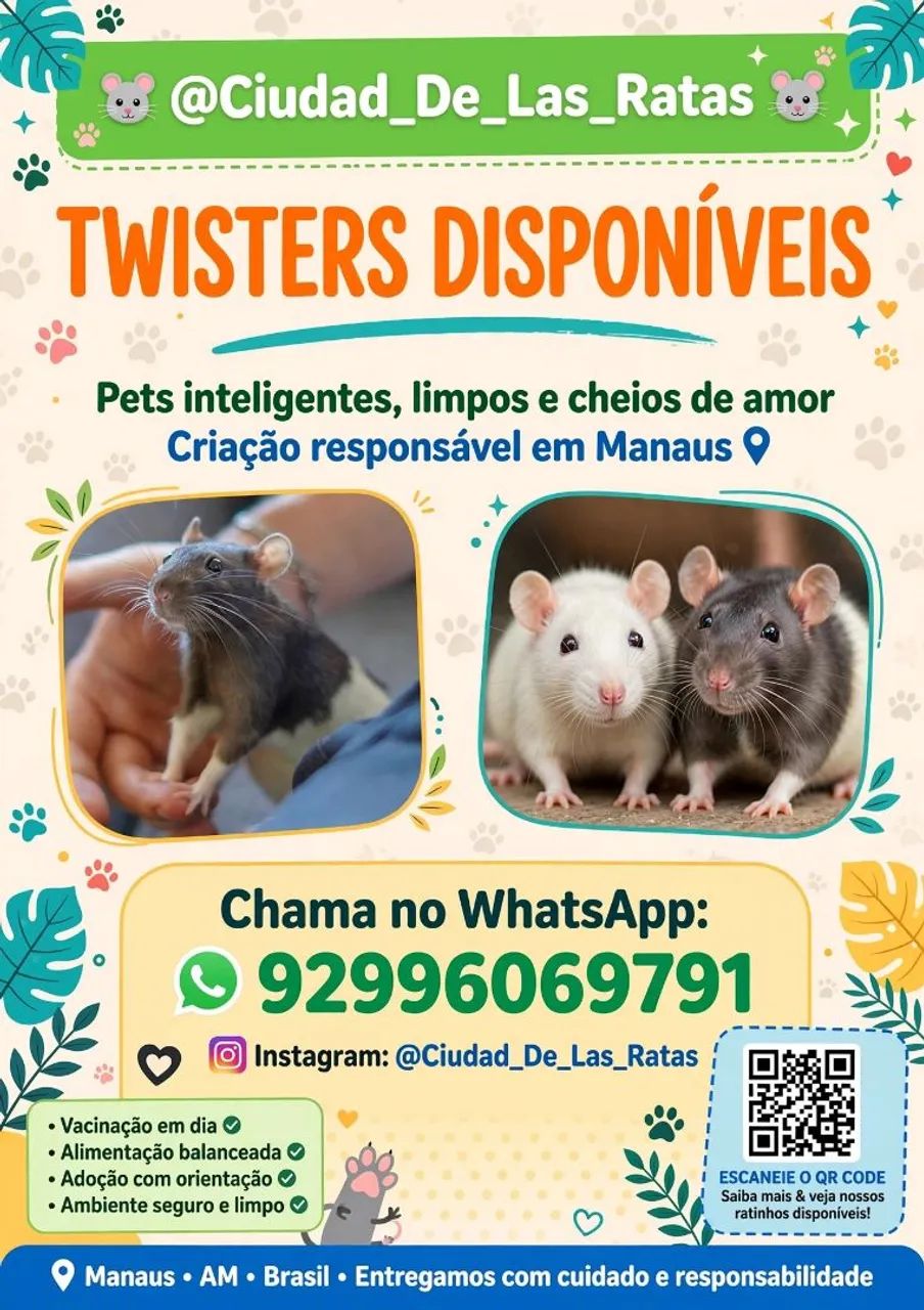 Rato Twister/Dumbo+Gaiola - Foto 5