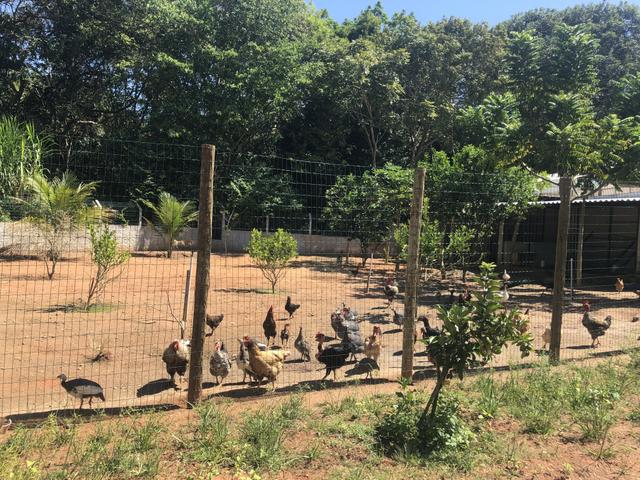 Chácara em Parnamirim, bairro boa esperança - Foto 16