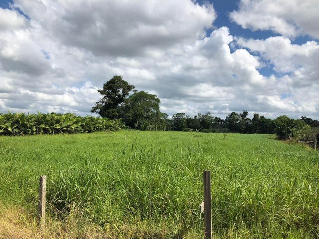 Chácara em Guaramirim - Foto 2