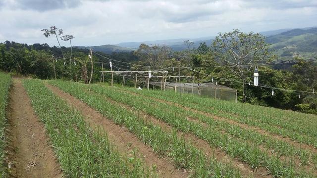 Fazenda Santana - Gravatá/PE - Zona Rural - Foto 20