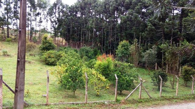 Chacara a 4 km do centro de Araucara 3.734,18 pronto para construir - Foto 6