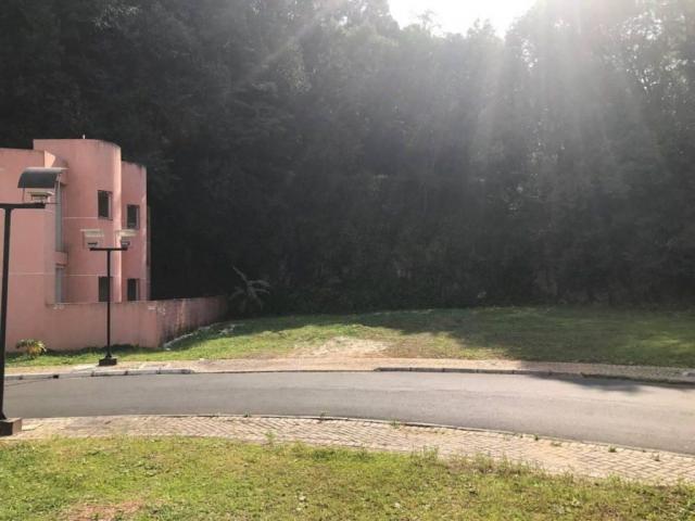 Loteamento/condomínio à venda em Pilarzinho, Curitiba cod:TE0022 - Foto 8