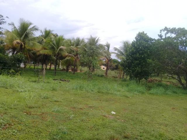 Sítio 60 km de Cuiabá
