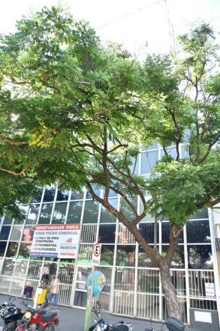 Prédio Comercial Av. Anhanguer - Foto 17