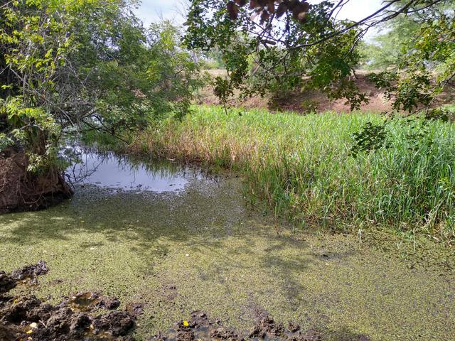 Vendo uma fazenda - Foto 3